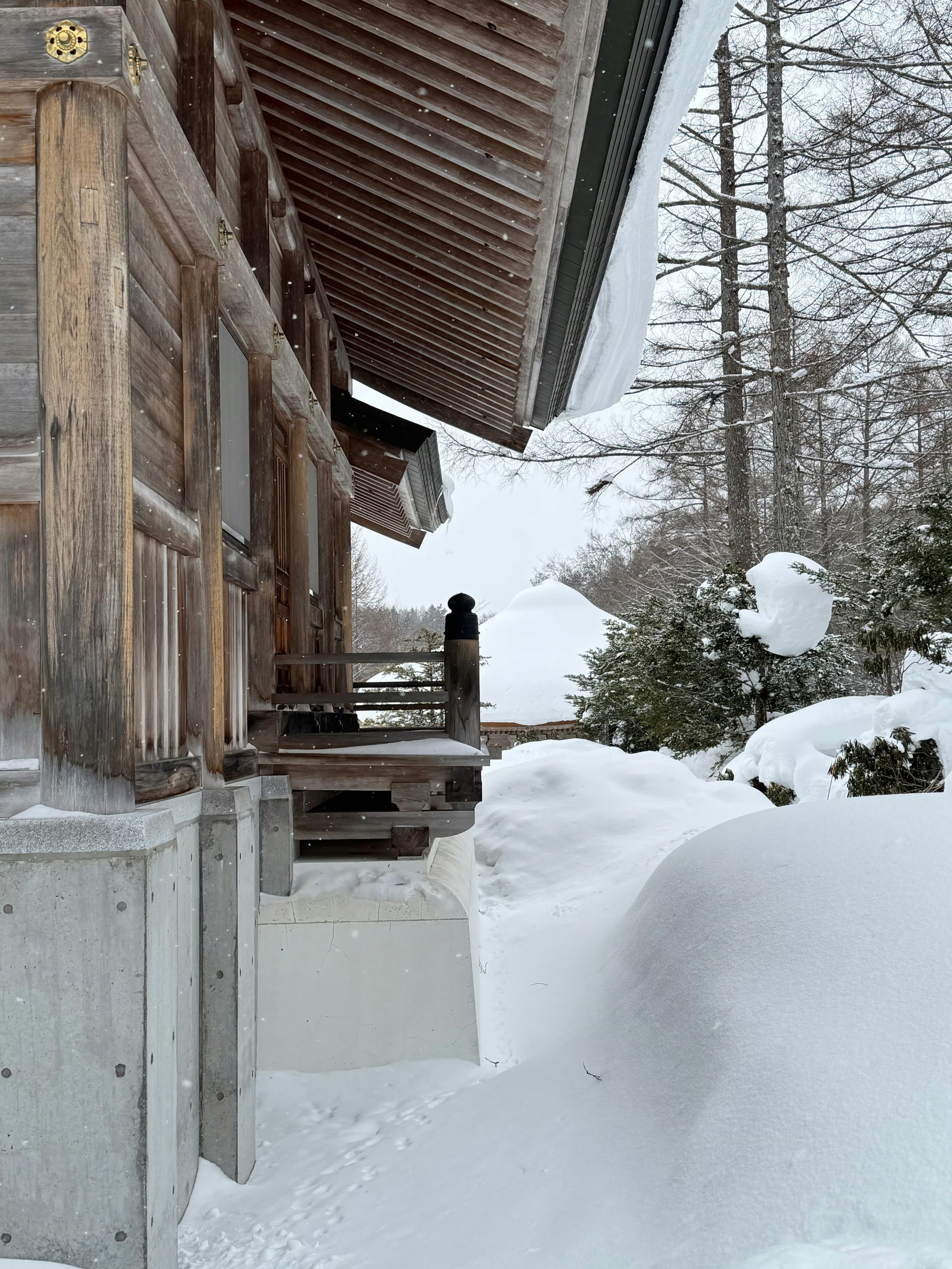 雪天蹲在神社门口发呆,连脚印都怕踩坏这帧静止的水墨画封面图