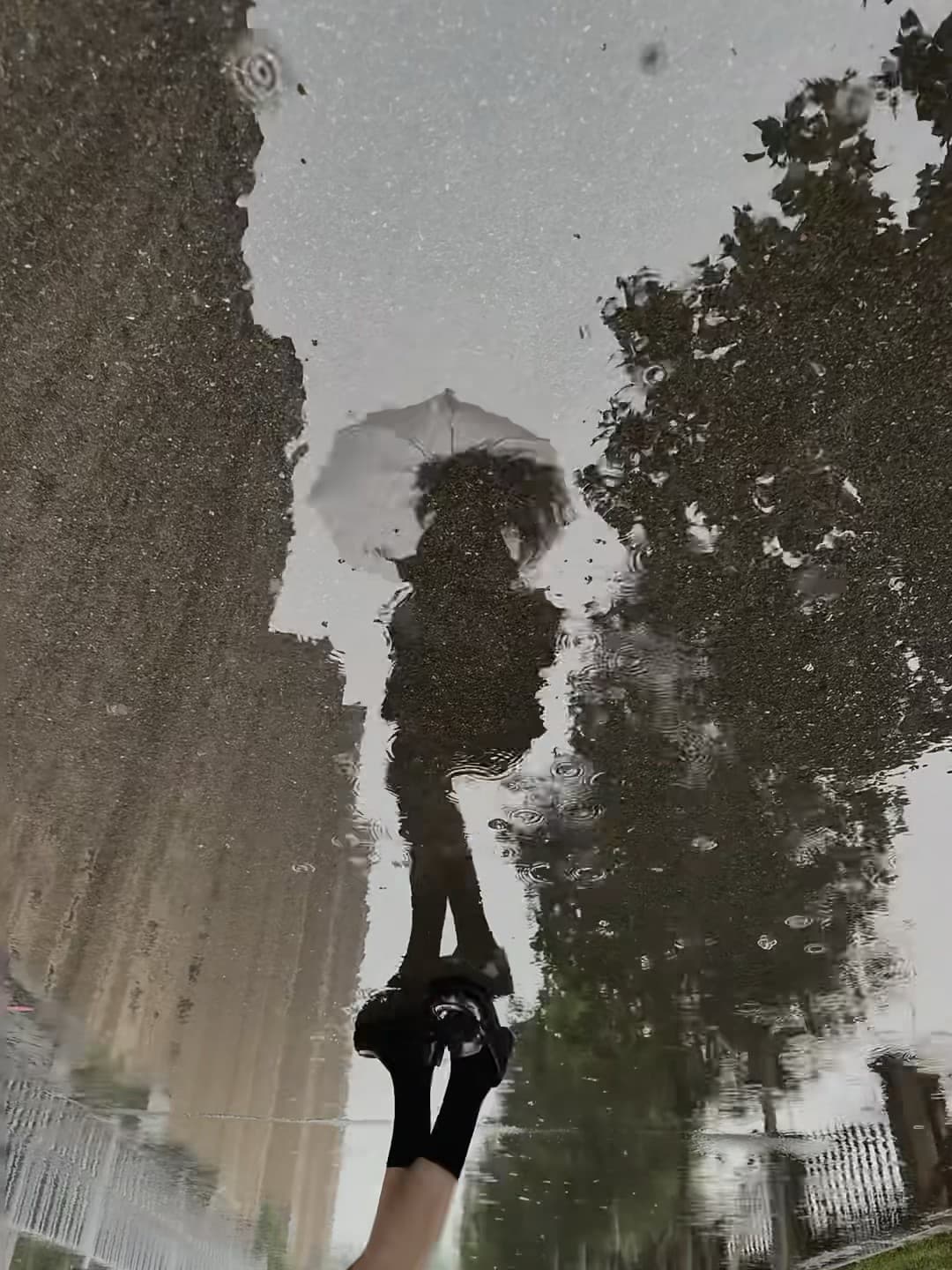 雨天蹲在路边拍倒影,伞下人影晃得像动画片封面图