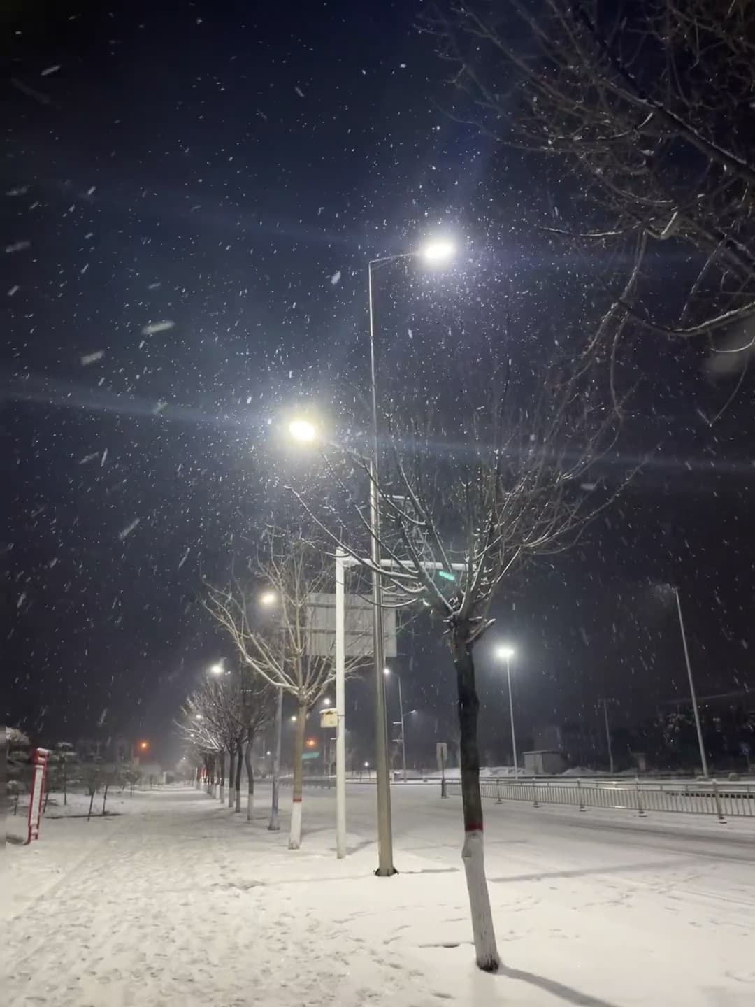 今晚的雪,像被路灯追着跑的萤火虫✨封面图
