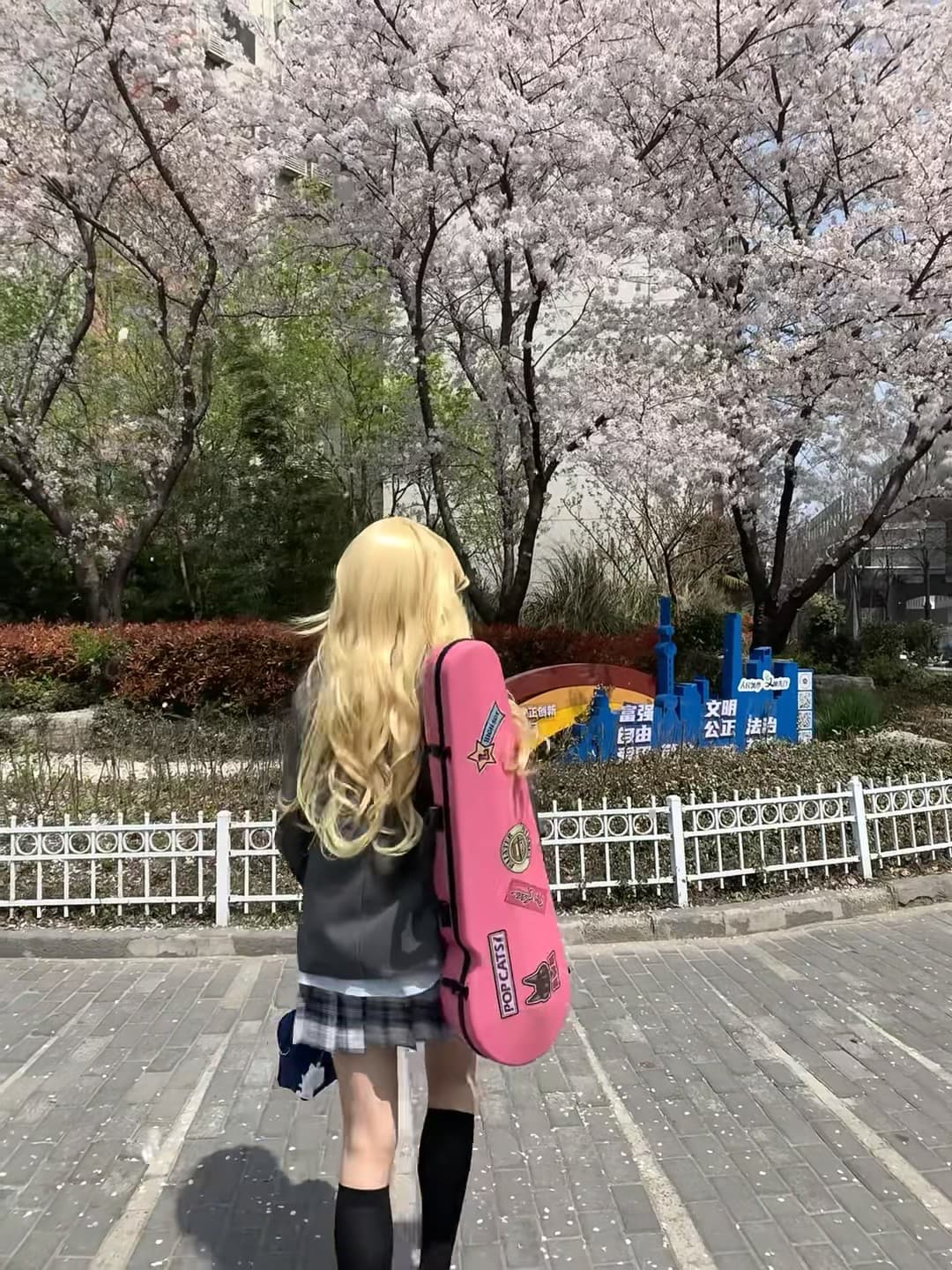 樱花季的琴盒也太配了 🌸 路过社区小公园,突然被这背影戳中封面图