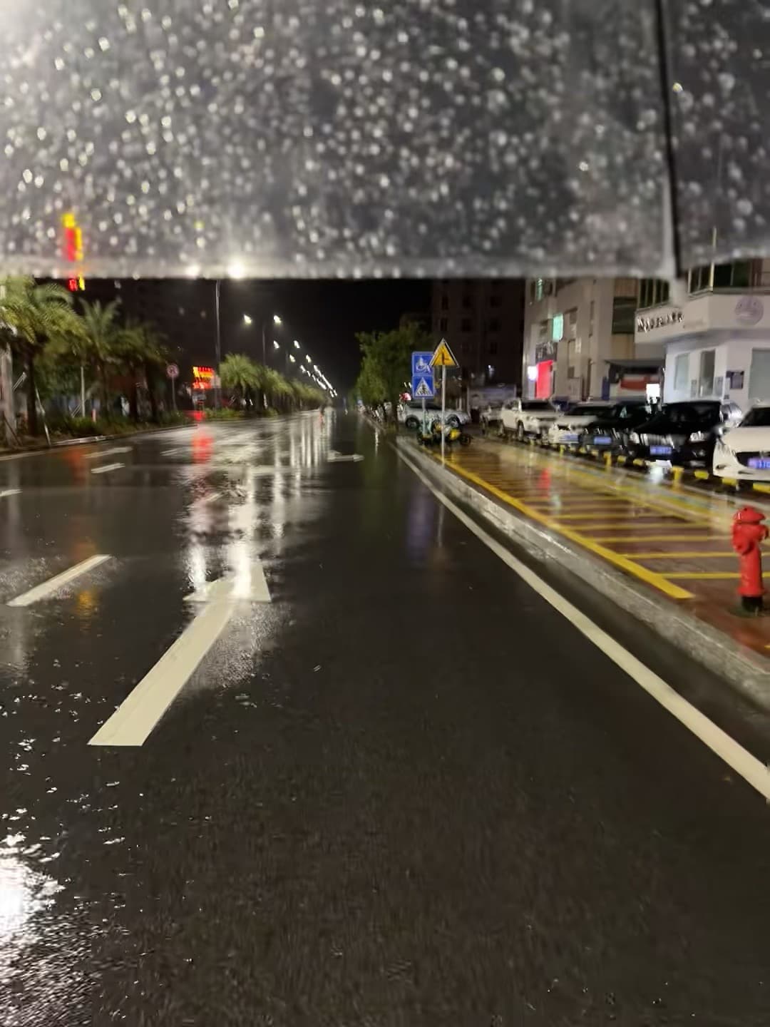 雨夜骑车路过,路灯在湿漉漉的路面上画出光的河封面图