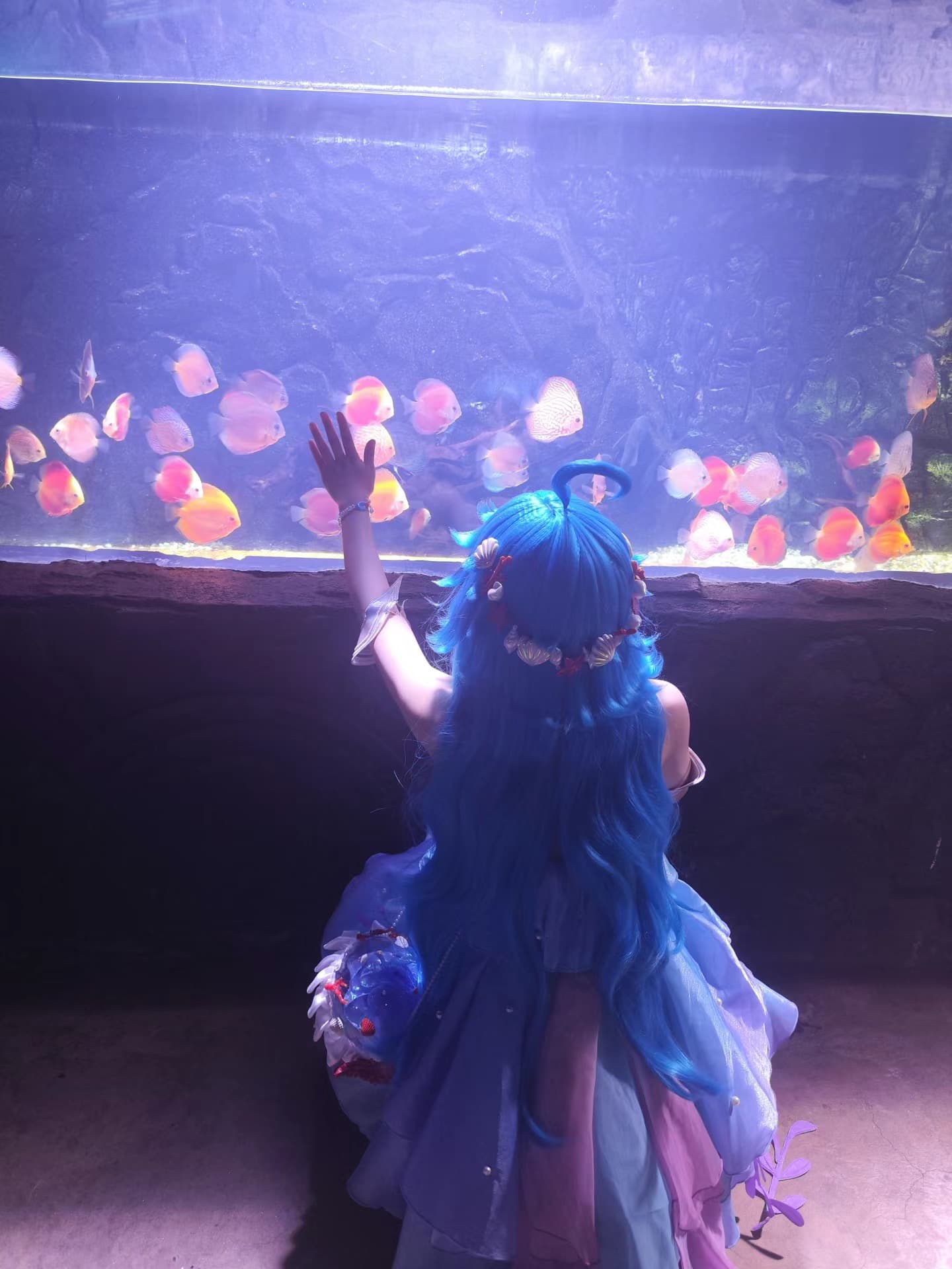 今天在水族馆被鱼群围住,像被小美人鱼收编了🌊封面图