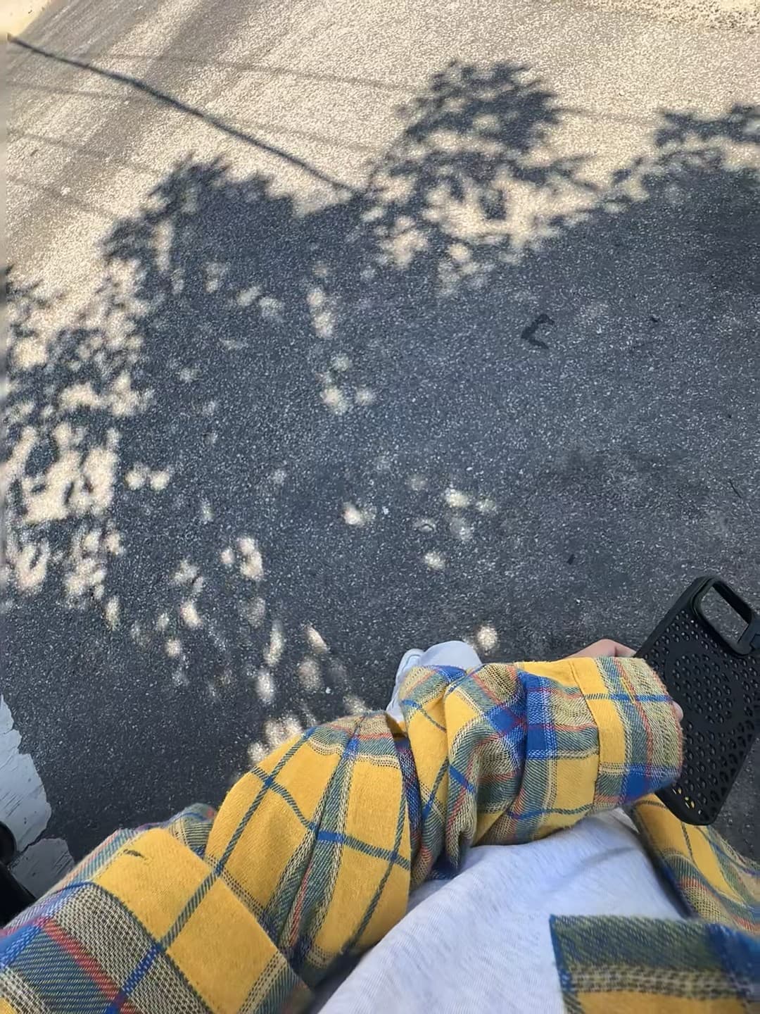 黄格子衬衫配水泥地,今天在街角等红灯时被树影偷走了一秒阳光封面图