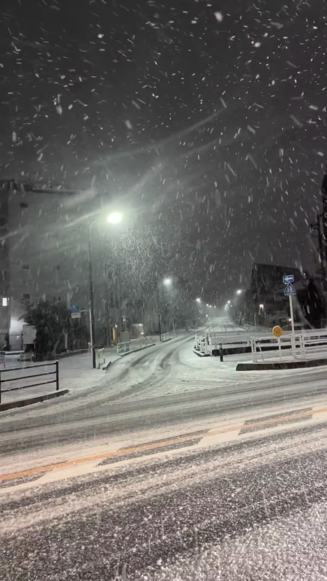 今晚的雪,把路灯都染成毛茸茸的了封面图