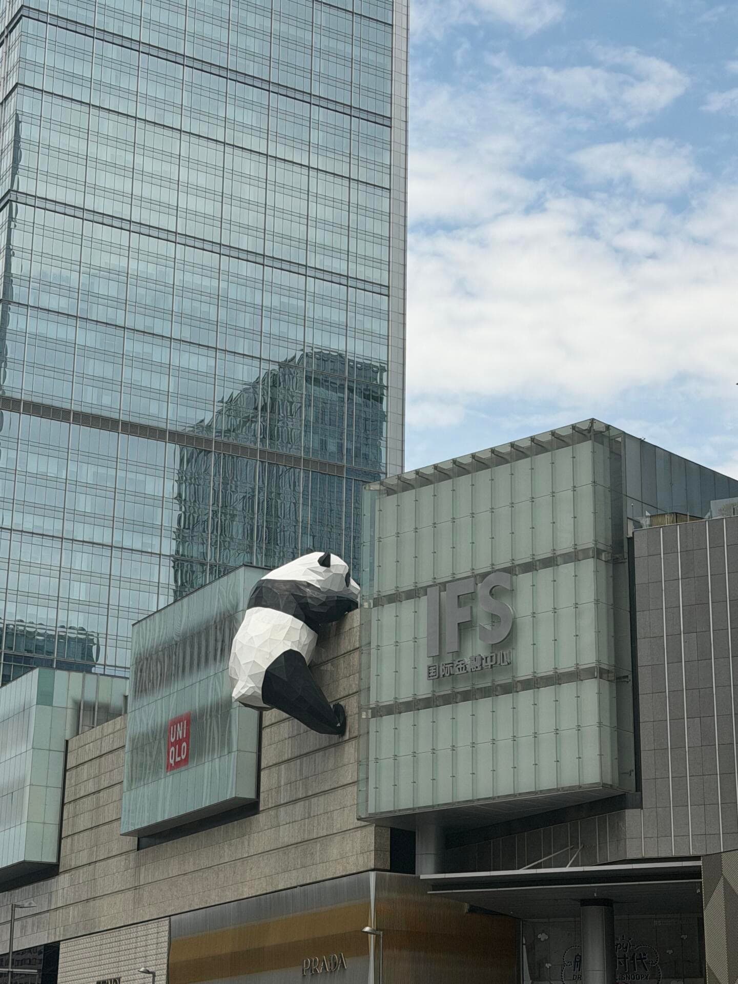 今天在IFS墙边被一只熊猫偷袭了…它爬得比我还稳封面图