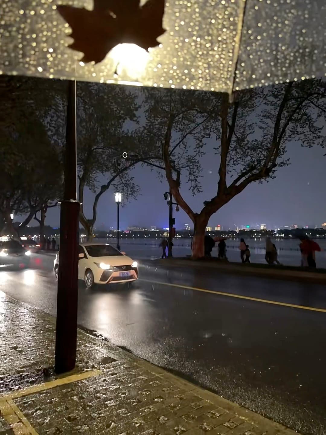 雨夜路灯下,车灯扫过湿漉漉的湖边路|杭州?不,是西湖边的夜封面图