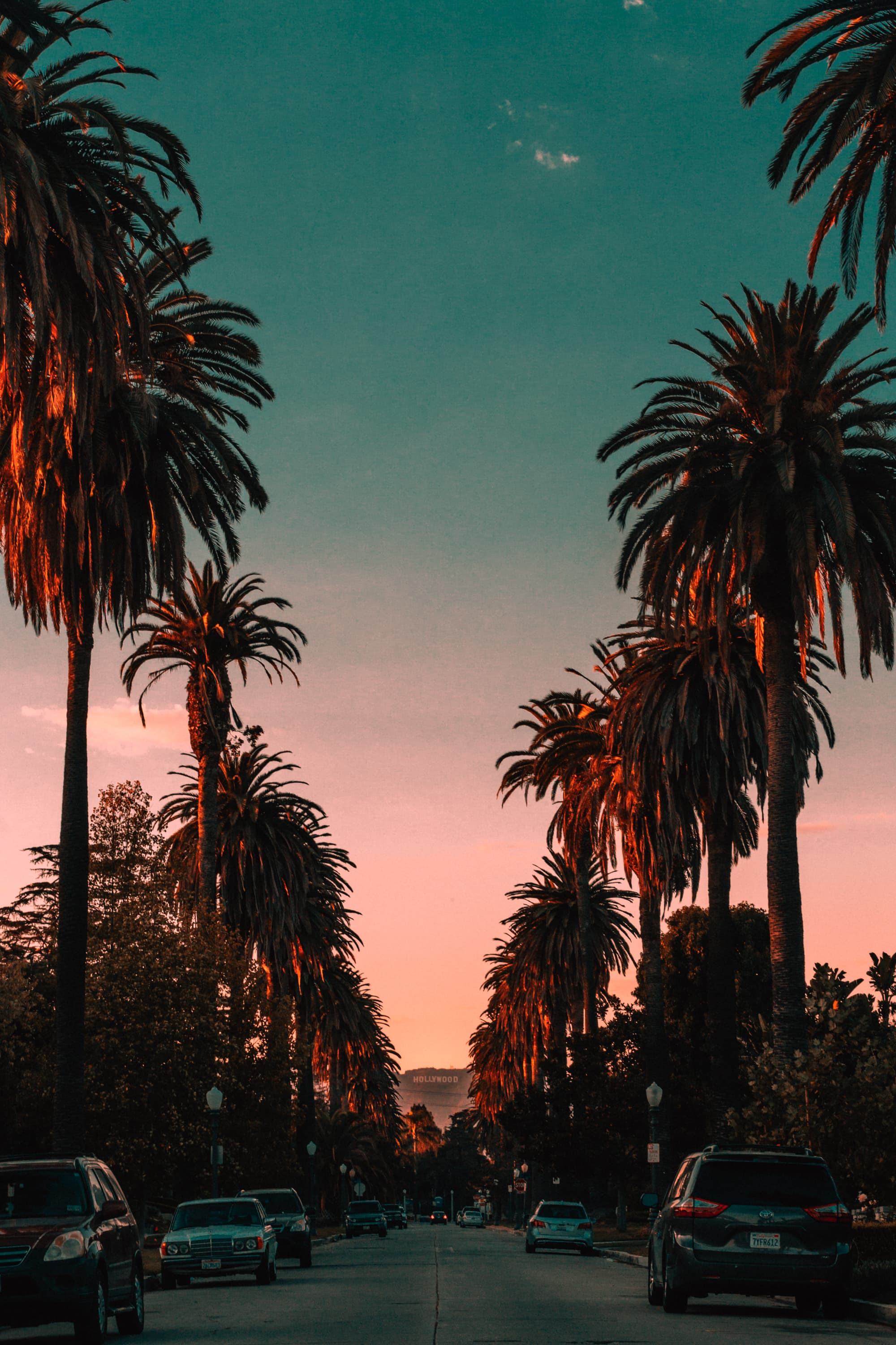 日落时分的Hollywood大道,棕榈树在橙光里站成诗封面图