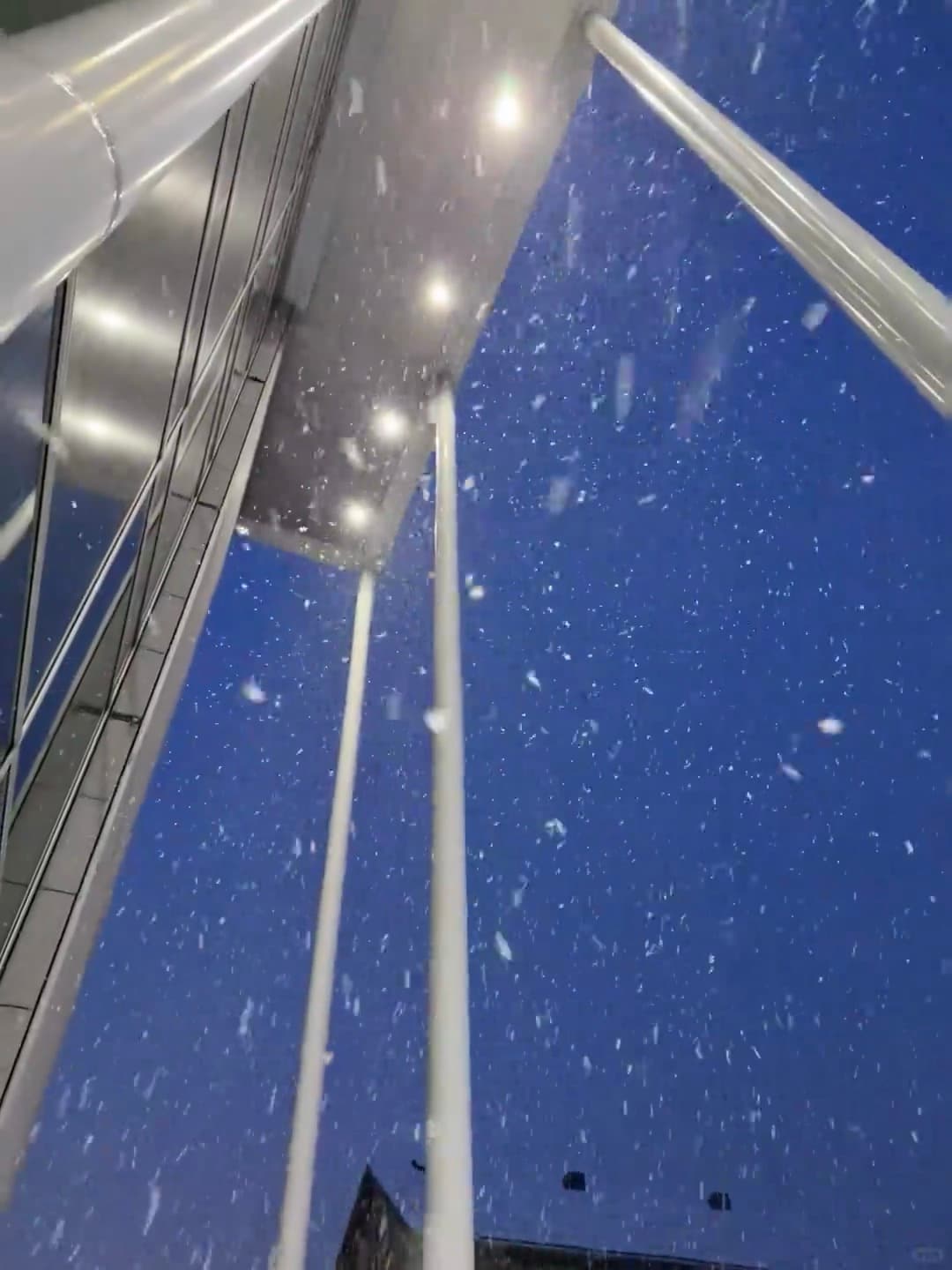 今晚在City Hall广场,雪下得像打翻的糖霜~封面图