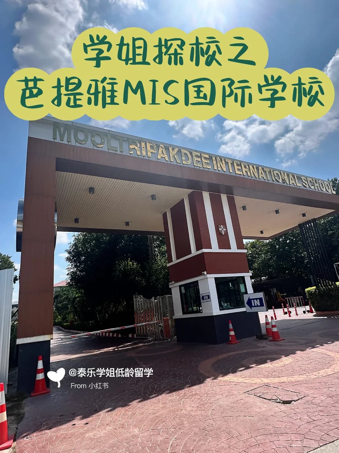 芭提雅MIS:应试教育+素质教育的完美融合封面图