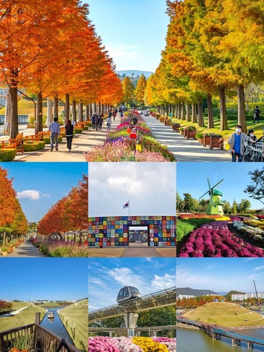 韩国顺天湾国家庭园秋日赏景指南:风车、芦苇荡与空间桥的浪漫邂逅封面图
