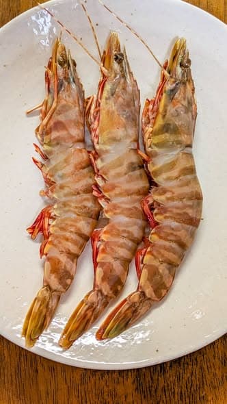 筑地推荐必吃!澳洲虎虾:肉质Q弹紧实,鲜甜不柴的天然美味封面图