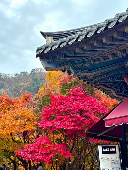 韩国秋天必去!内藏山国立公园红叶季亮点与最佳观赏时间 - 图片5