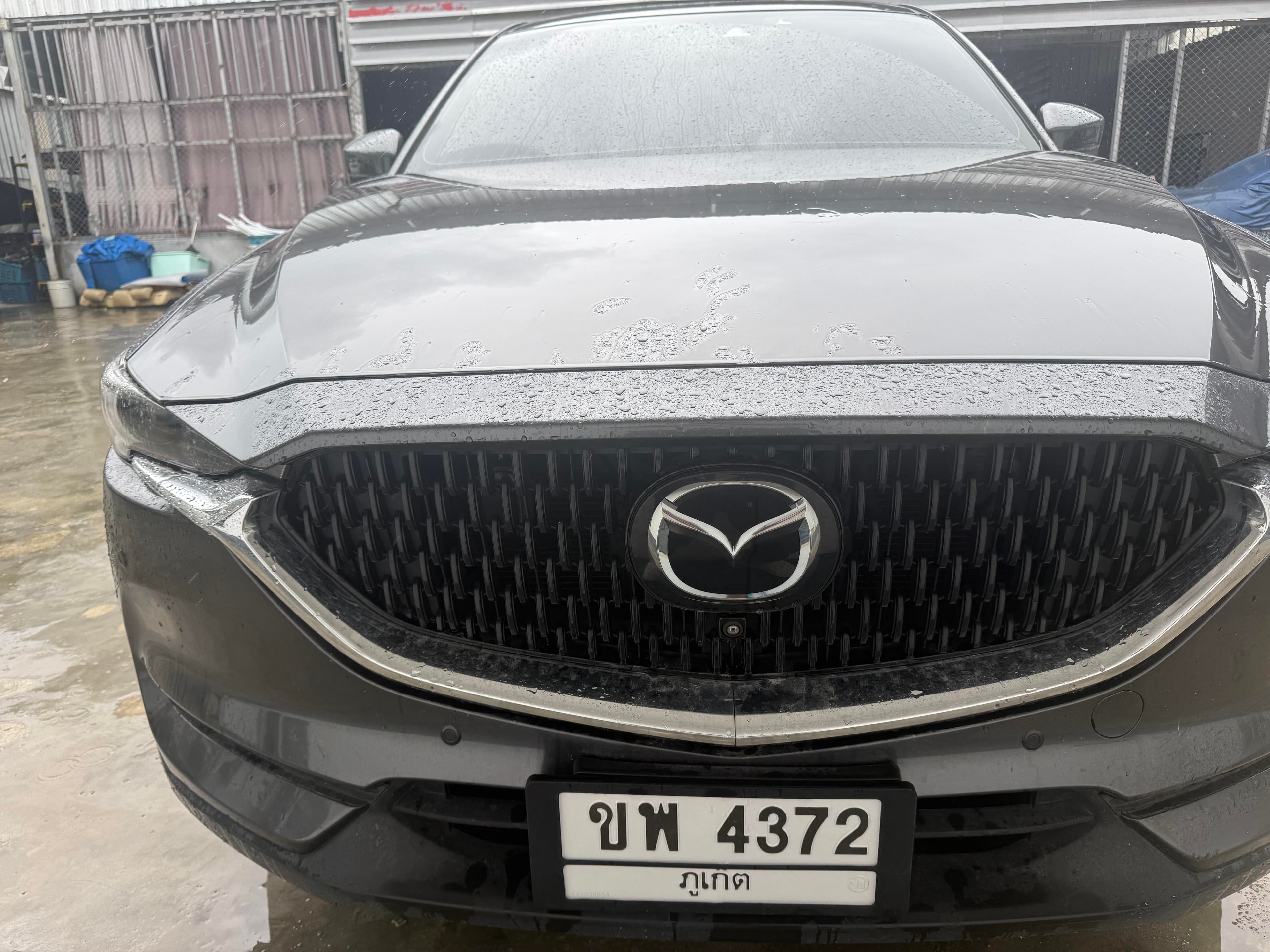 普吉特价出Mazdacx-8大六座封面图